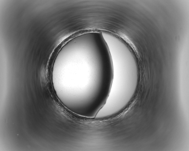 X0000086970876200704301255