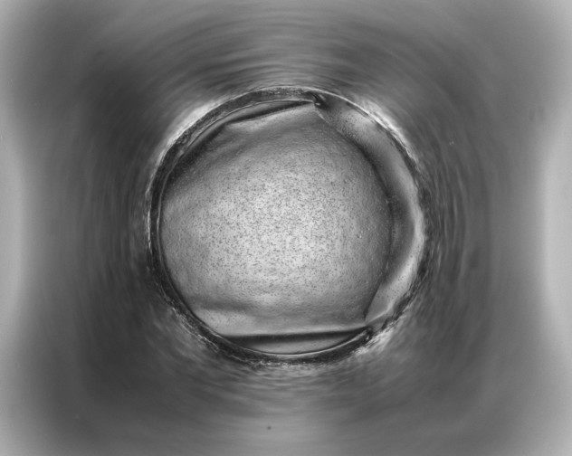 X0000086970877200704301255