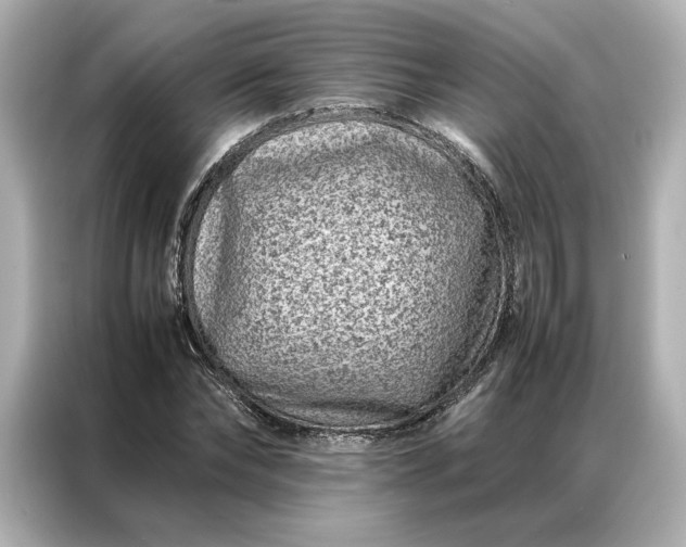 X0000086970878200704301255