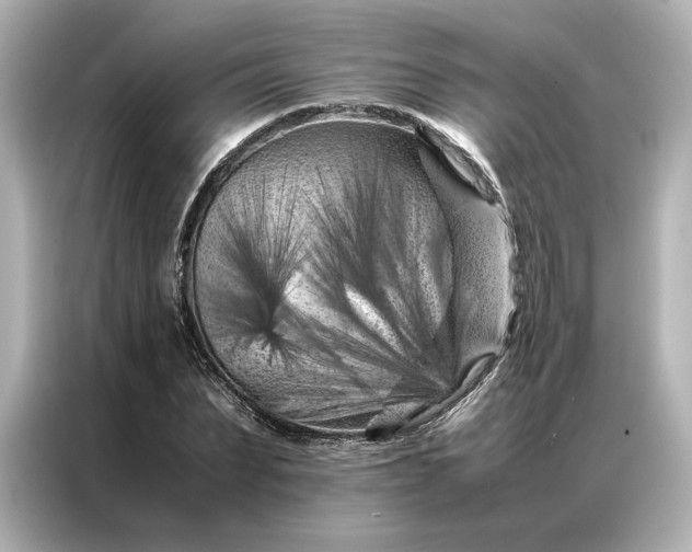 X0000086970879200704301255