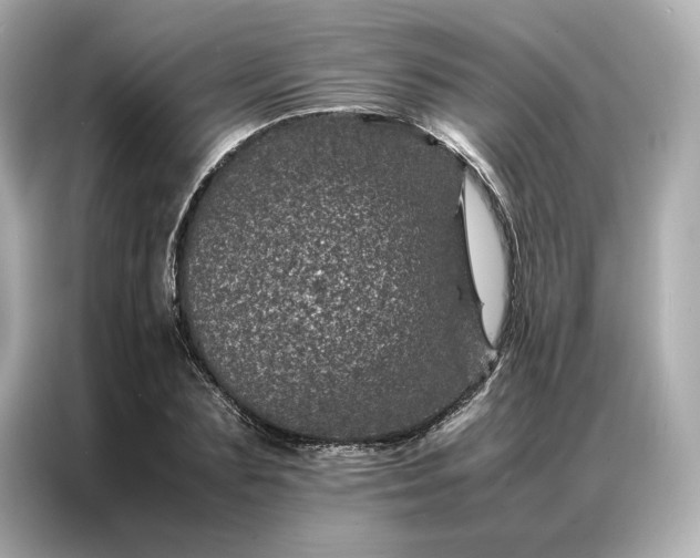 X0000086970883200704301255