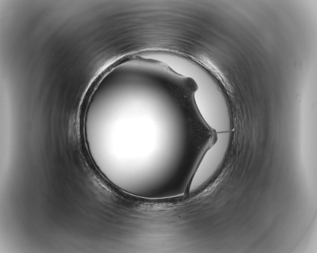 X0000086970884200704301255