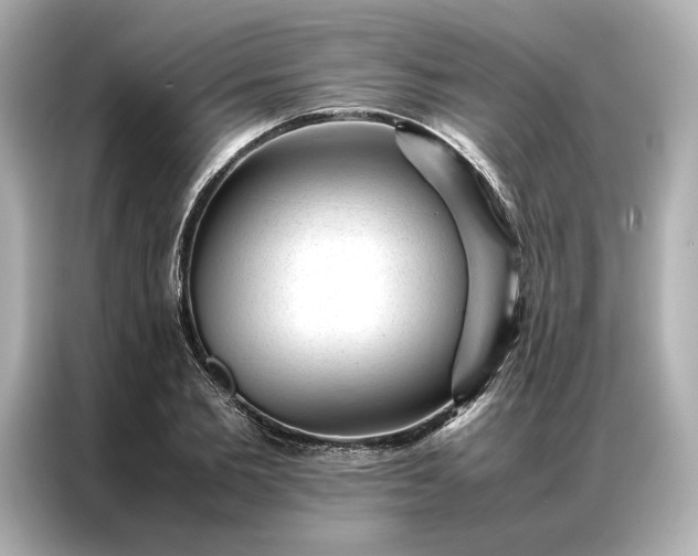 X0000086970885200704301255