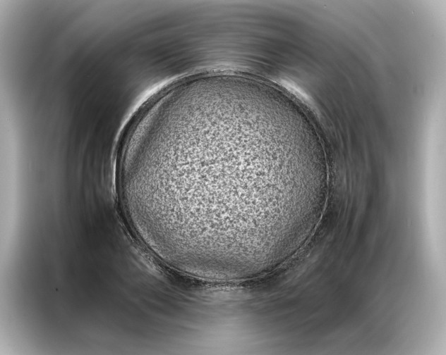 X0000086970886200704301255