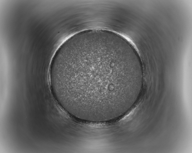 X0000086970887200704301255