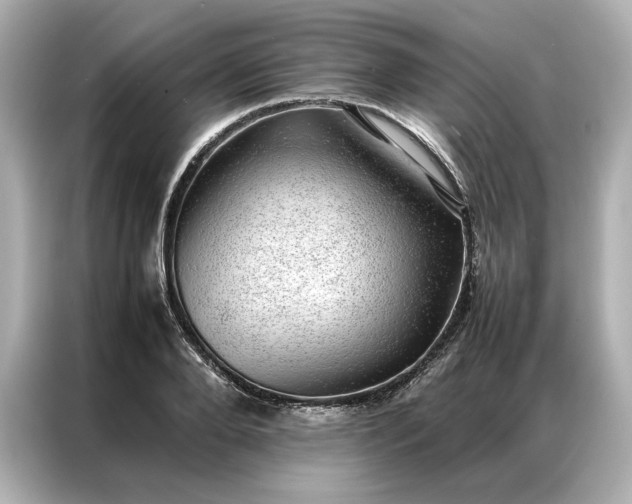 X0000086970888200704301255