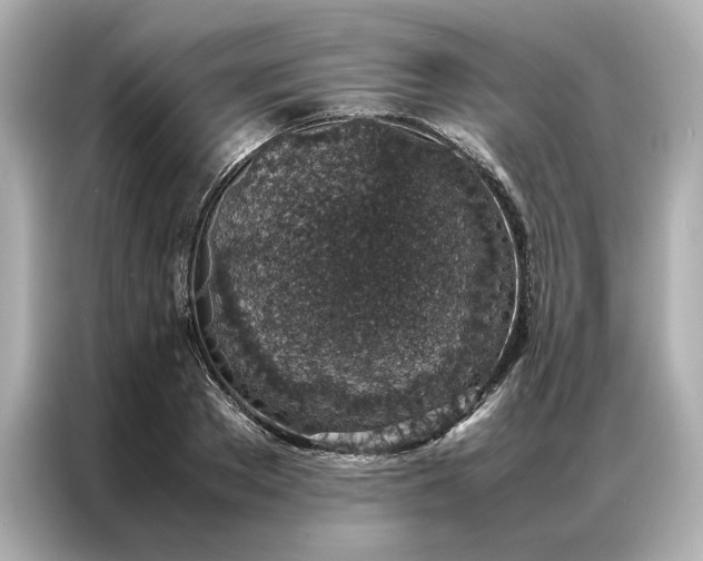 X0000086970889200704301255