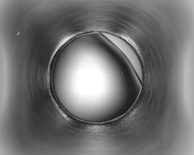 X0000086970894200704301255