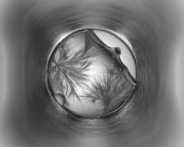 X0000086970895200704301255