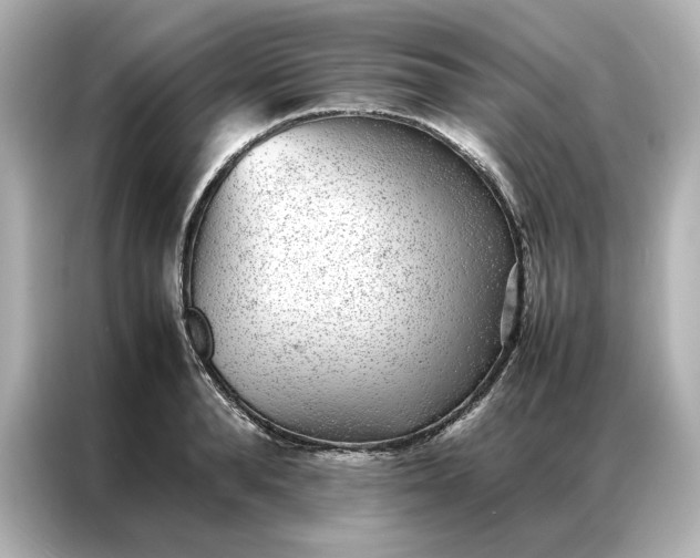 X0000086970896200704301255