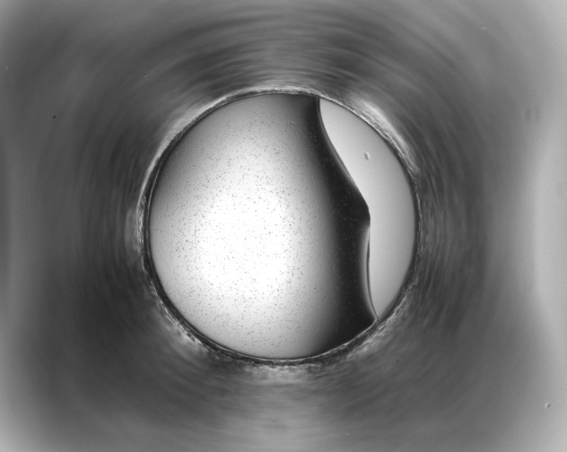 X0000086970900200704301255