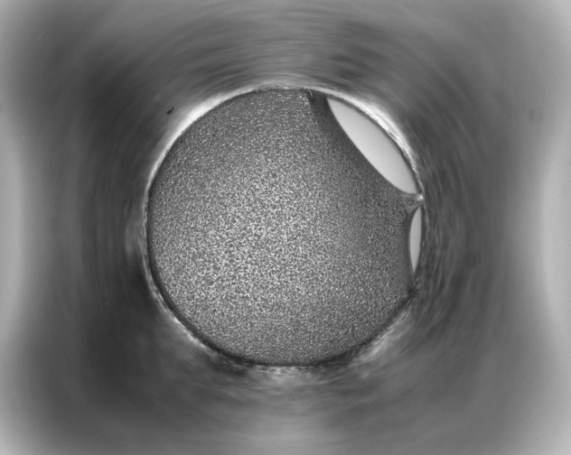 X0000086970903200704301255