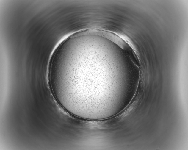 X0000086970904200704301255