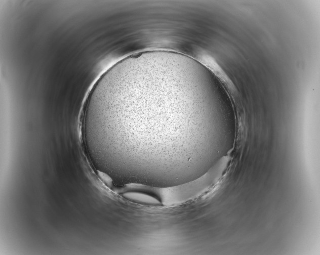 X0000086970908200704301255