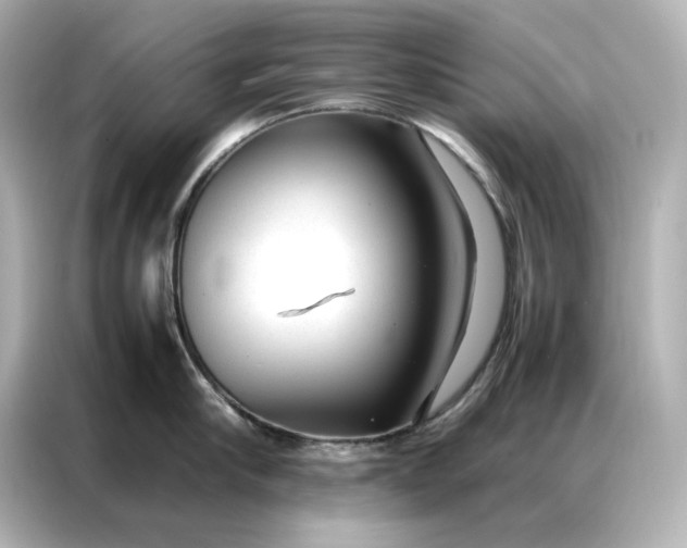 X0000086970910200704301255