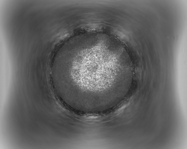 X0000086970913200704301254