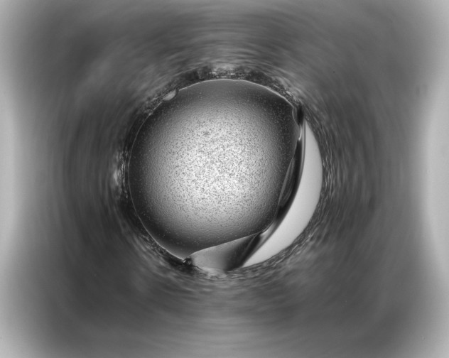 X0000086970914200704301254