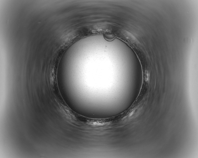 X0000086970915200704301254