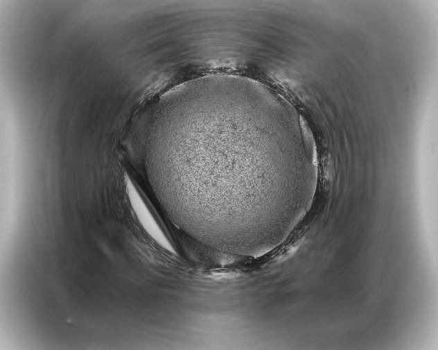 X0000086970916200704301254