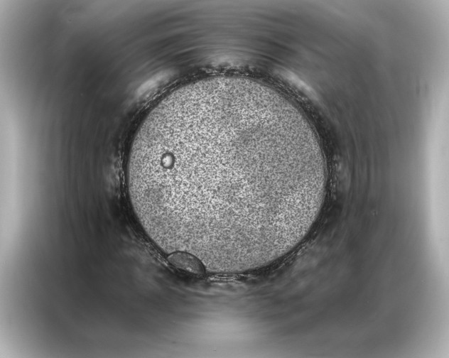 X0000086970918200704301254