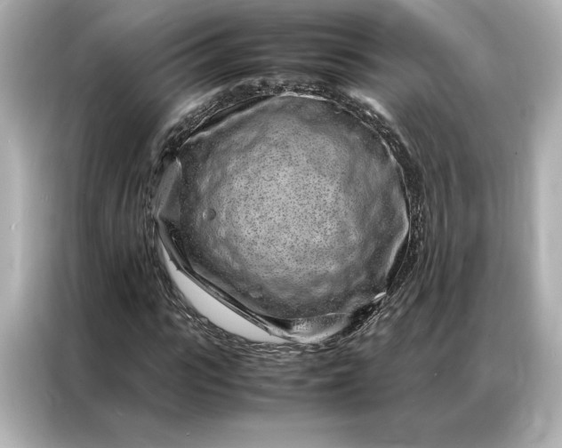 X0000086970919200704301254