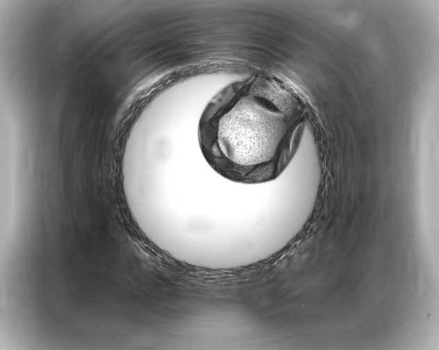 X0000086970920200704301254