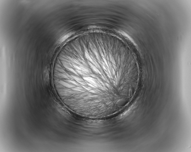 X0000086970921200704301254