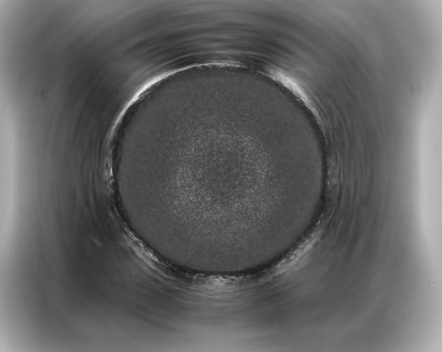 X0000086970923200704301254