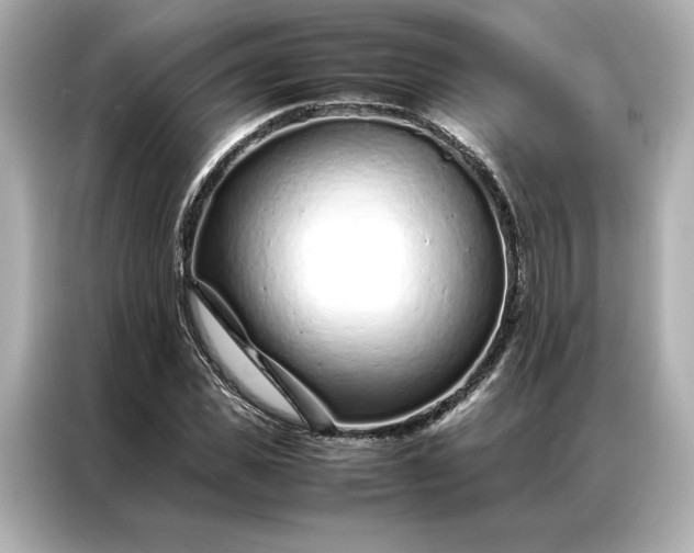 X0000086970925200704301254