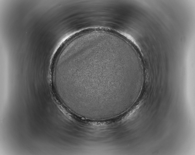 X0000086970927200704301254