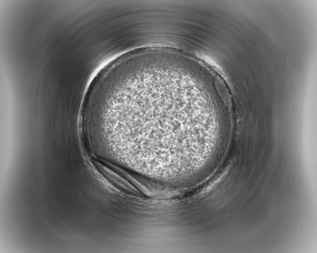 X0000086970928200704301254