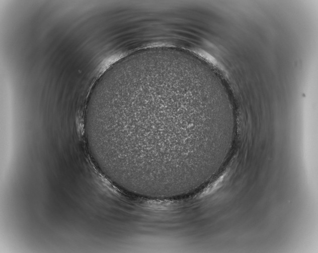 X0000086970929200704301254