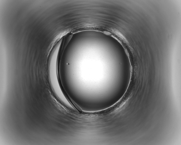 X0000086970930200704301254