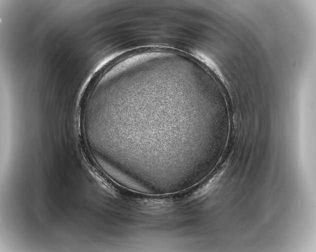 X0000086970931200704301254