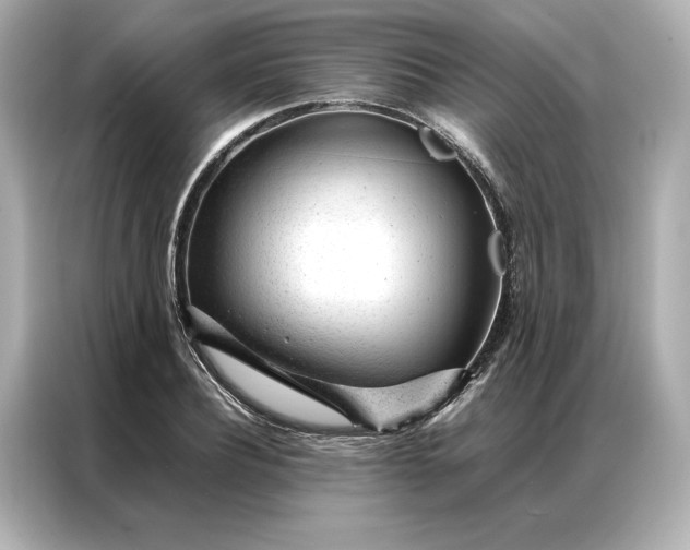 X0000086970932200704301254