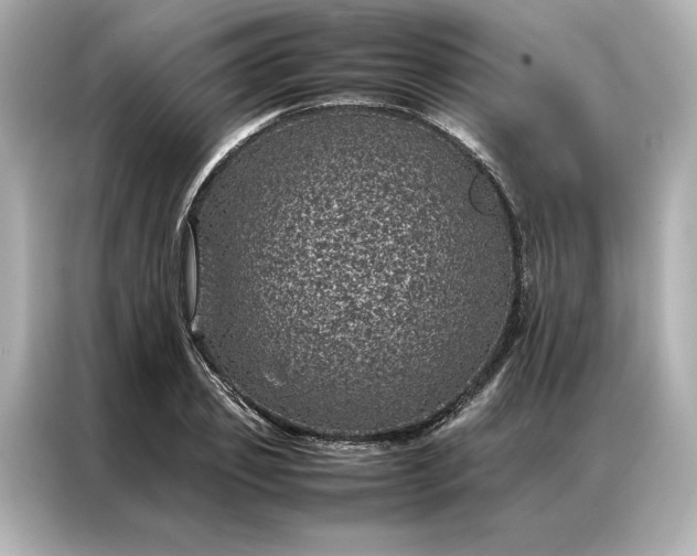 X0000086970933200704301255