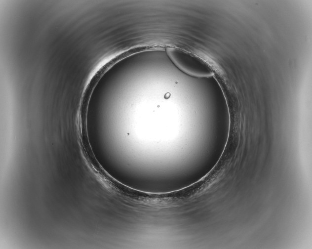 X0000086970936200704301255