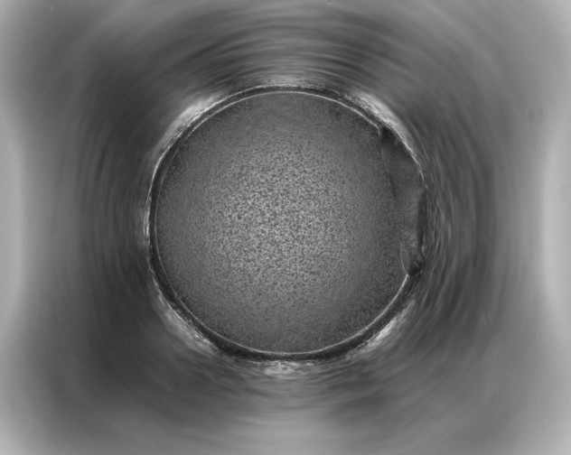 X0000086970938200704301255