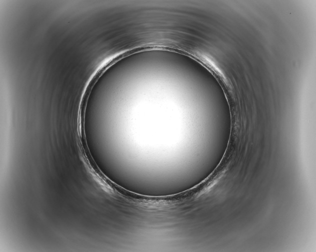 X0000086970940200704301255