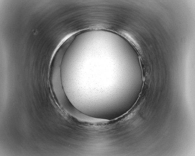 X0000086970948200704301255