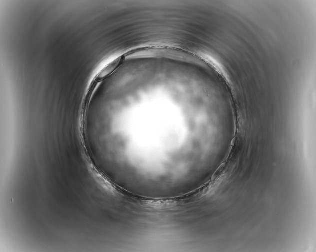 X0000086970952200704301255