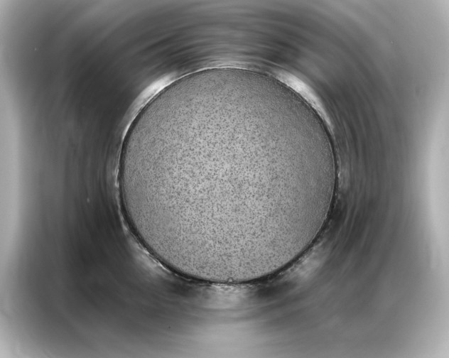 X0000086970954200704301255