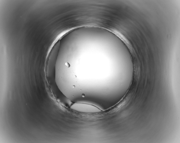 X0000086970956200704301255