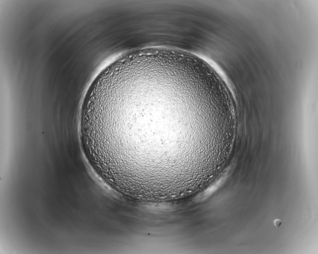 X0000086970957200704301255