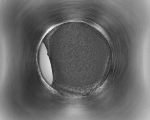 X0000086970958200704301255