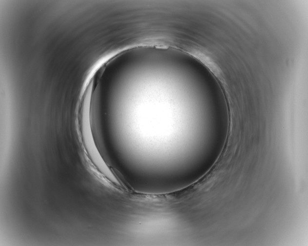 X0000086970960200704301255