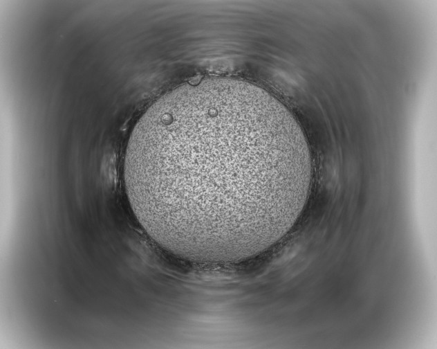 X0000086970962200704301254