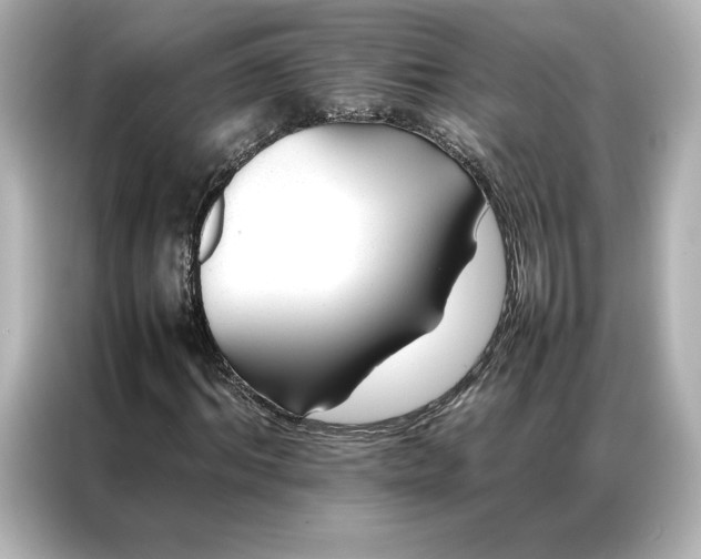 X0000086970964200704301254