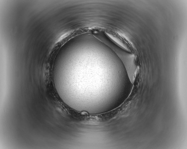 X0000086970968200704301254