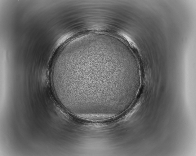 X0000086970970200704301254